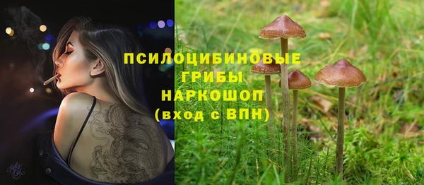 Альфа ПВП Абаза